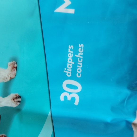 Simple Solution Disposable Dog Diapers - Picture 3 of 7